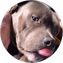 Alice profile picture